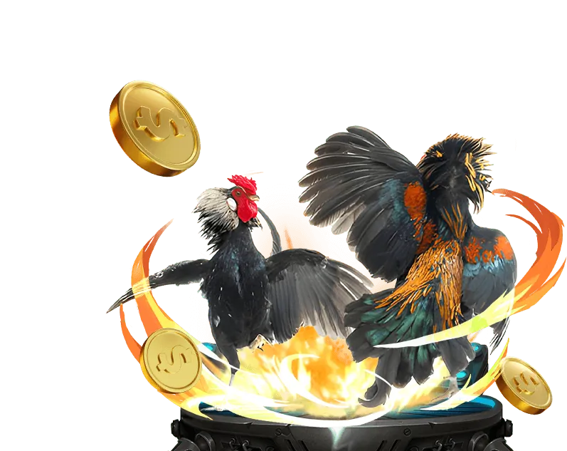 Đa dạng trò chơi cá cược tại OKVIP